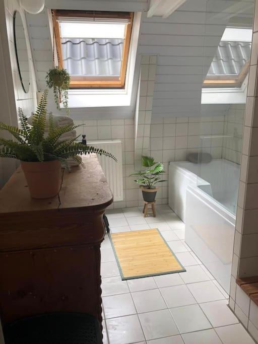 De Scheve Deur Villa Vollenhove Ngoại thất bức ảnh